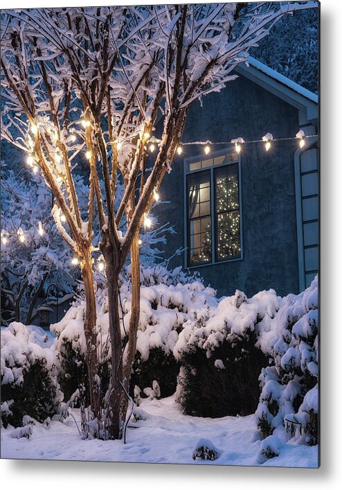 Christmas Metal Print featuring the photograph Lights and a Tree by Daryl Clark
