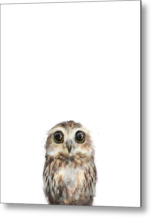 Owl Little Owl Baby Baby Owl Little Collection Nature Animals Animal Wildlife Wild Wilderness Fauna Forest Woodland Creature Illustration Drawing Painting Art Artwork Amy Hamilton Metal Print featuring the painting Little Owl by Amy Hamilton