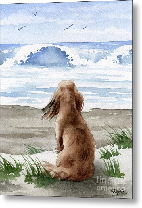 Long Metal Print featuring the painting Long Haired Dachshund at the Beach by David Rogers