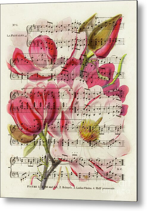 Magnolias Metal Print featuring the mixed media Magnolias flowers and sheet music vintage collage by Delphimages Photo Creations