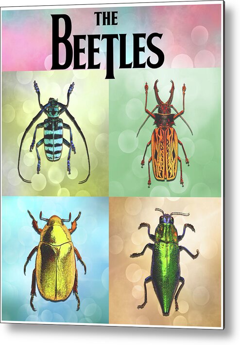 Beetles Metal Print featuring the digital art Meet the Beetles by John Haldane