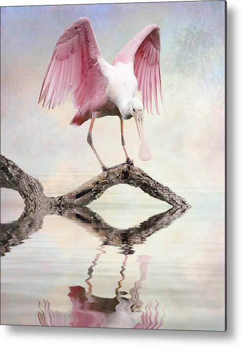 Roseate Spoonbill Metal Print featuring the photograph Mirror, Mirror, by Brian Tarr