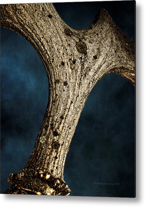 Moose Metal Print featuring the photograph Moose Horn Curves by Fred Denner