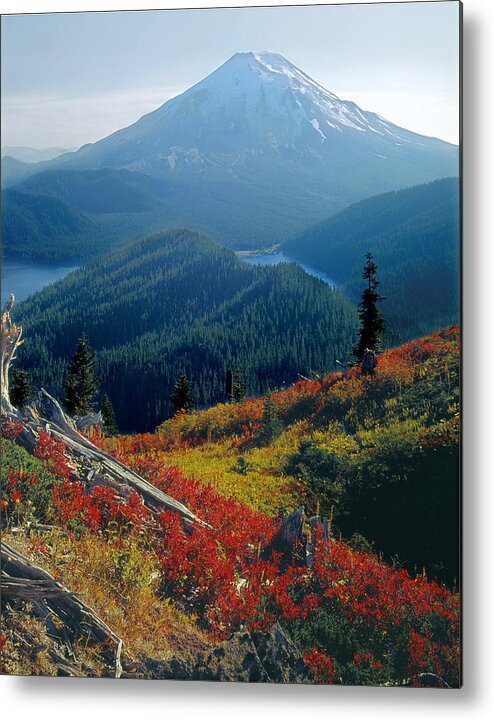 Fall Colors Metal Print featuring the photograph 1M4903-Mt. St. Helens 1975 by Ed Cooper Photography