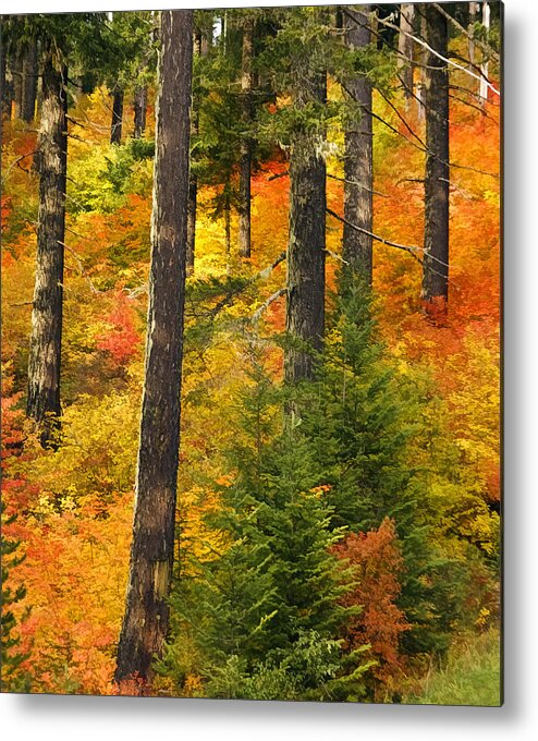 Nw Autumn Metal Print featuring the photograph N W Autumn by Wes and Dotty Weber