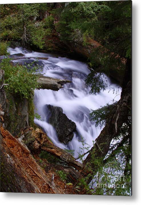 Waterfall Metal Print featuring the photograph National Creek Falls 03 by Peter Piatt