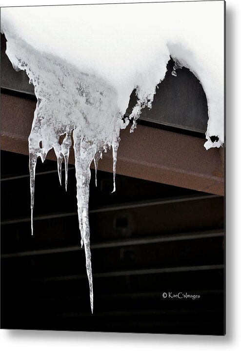 Nature Metal Print featuring the photograph Nature's Winter Abstract #4 by Kae Cheatham