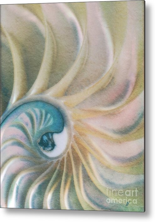 Fine Art Photography Metal Print featuring the photograph Nautilus #1, Embryo by John Strong