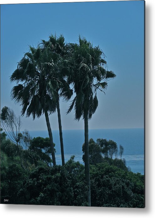 Ocean Brezze Palms Metal Print featuring the photograph Ocean Brezze Palms by Debra   Vatalaro