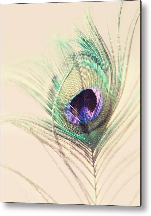Peacock Feather Metal Print featuring the photograph O'Hara by Amy Tyler