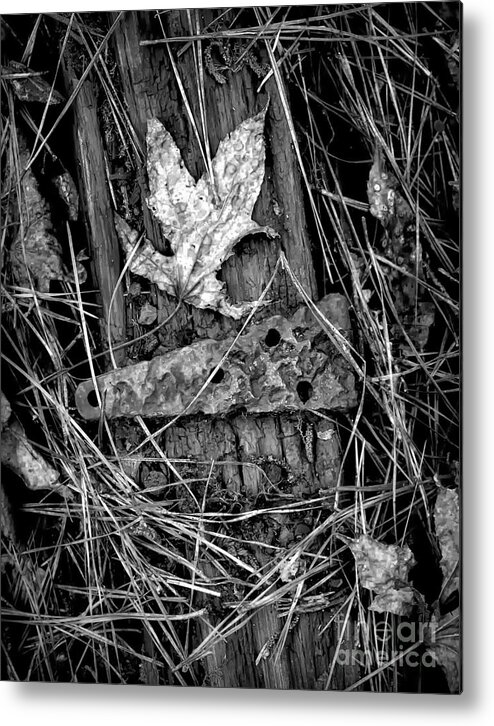 Old Metal Print featuring the photograph Old Hinge On Old Board by Walt Foegelle