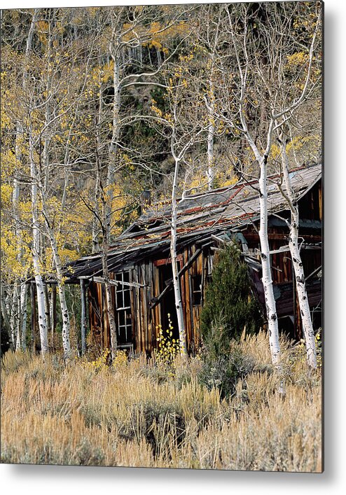 Colorado Metal Print featuring the photograph Old Homestead by Jim Benest