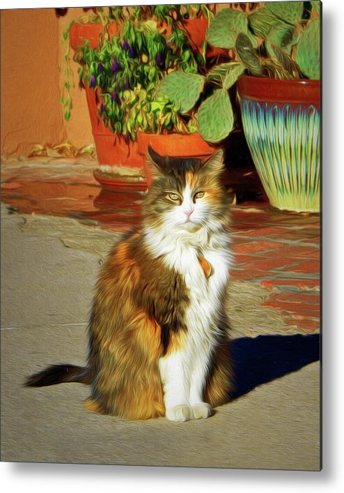 Cat Metal Print featuring the photograph Old Town Cat by Nikolyn McDonald