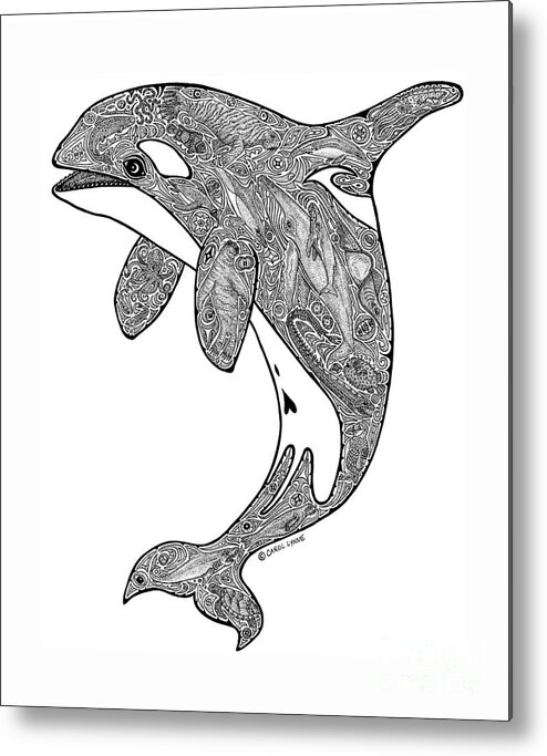 Intricately Detailed Hand Drawn Orca. Look Closely To See All The Other Sea Creatures Hidden Inside. Metal Print featuring the drawing Orca by Carol Lynne