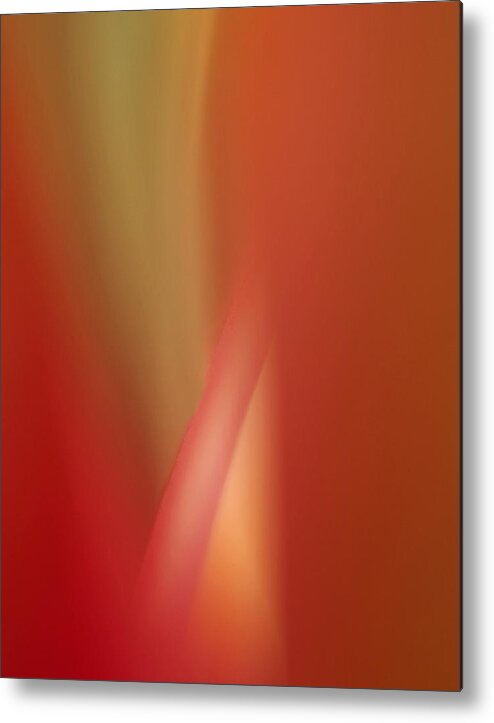 Flower Metal Print featuring the photograph Orchid Abstract by Bob Cournoyer