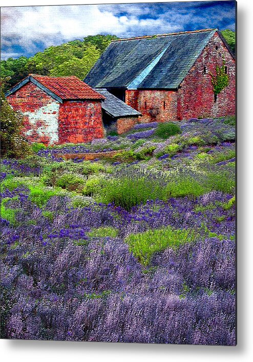 Lavender Metal Print featuring the mixed media Oregon Lavender Farm by Michele Avanti