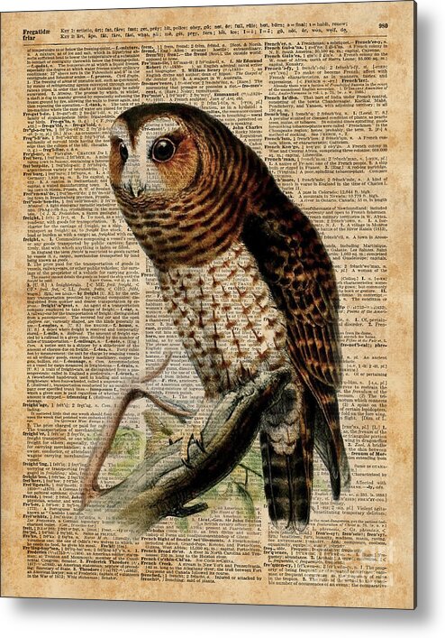 Owl Metal Print featuring the digital art Owl Vintage Illustration Over Old Encyclopedia Page by Anna W