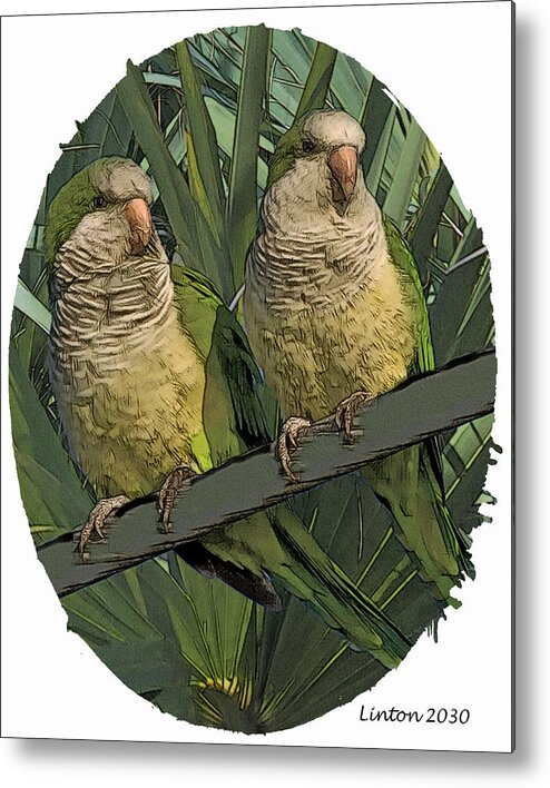 Monk Parakeets Metal Print featuring the digital art Parakeet Pair by Larry Linton