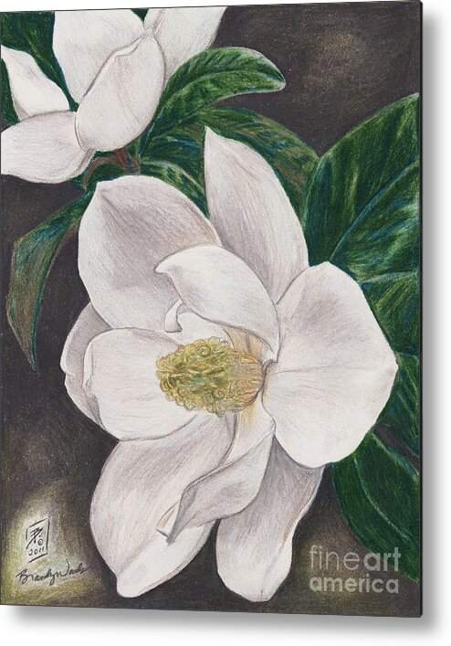 Flowers Metal Print featuring the drawing PawPaw's Magnolias by Brandy Woods