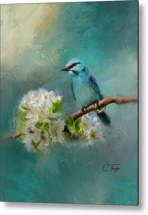 Birds Metal Print featuring the painting Peaceful Symphony by Colleen Taylor