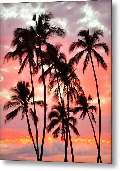 Palm Tree Metal Print featuring the photograph Peachy Palms by Jeff Cook