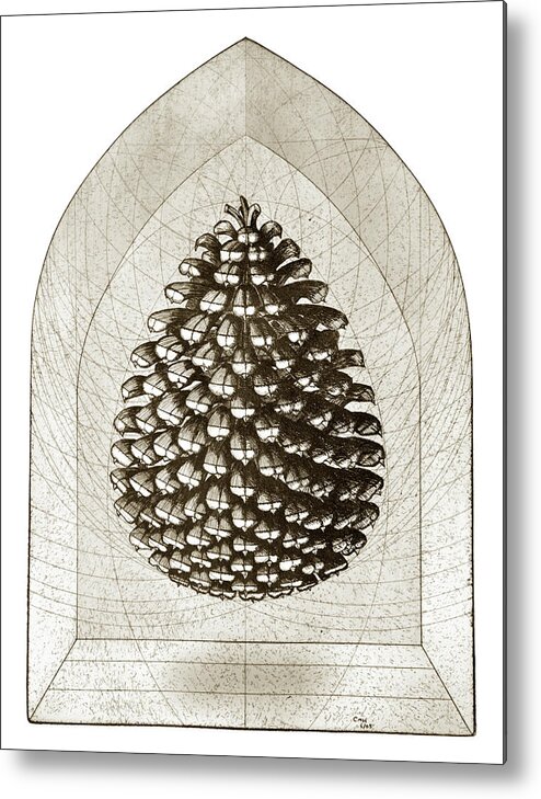 Charles Harden Metal Print featuring the drawing Pine Cone by Charles Harden