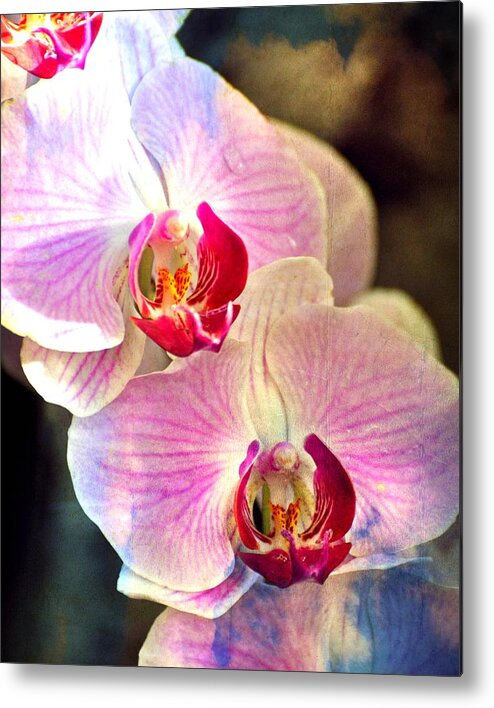 Orchids Metal Print featuring the photograph Pink in a Row by Marty Koch