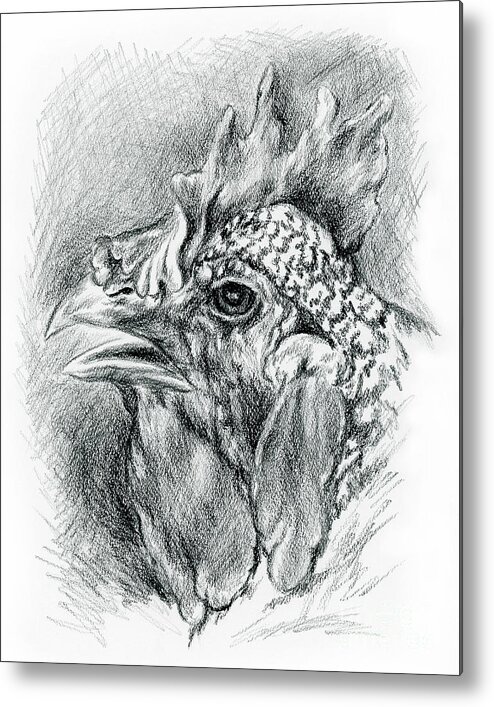 Chicken Metal Print featuring the drawing Plymouth Barred Rock Hen in Charcoal by MM Anderson