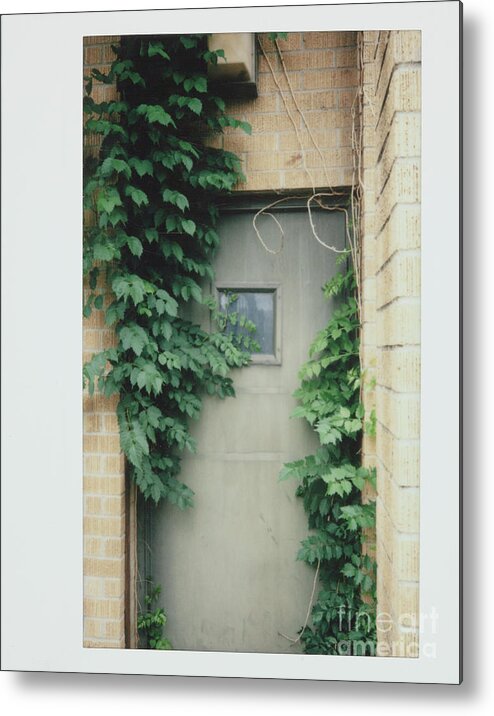 Polaroid Metal Print featuring the photograph Polaroid Image-Ivy In The Doorway by Greg Kopriva