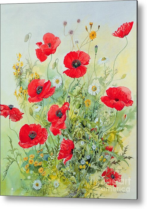 Flowers; Botanical; Flower; Poppies; Mayweed; Leaf; Leafs; Leafy; Flower; Red Flower; White Flower; Yellow Flower; Poppie; Mayweeds Metal Print featuring the painting Poppies and Mayweed by John Gubbins