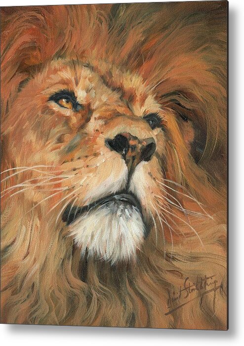 Lion Metal Print featuring the painting Portrait of a Lion by David Stribbling