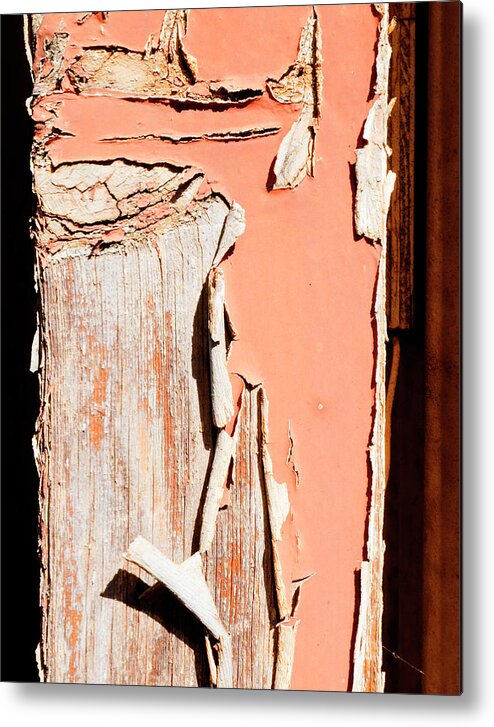 Peeling Paint Metal Print featuring the photograph Pumkinpeel by Jessica Levant