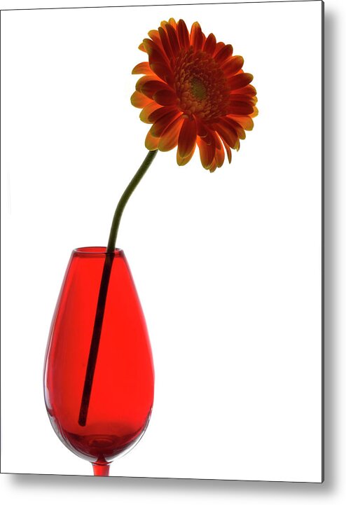 Red Vase Metal Print featuring the photograph Red Vase by Terence Davis