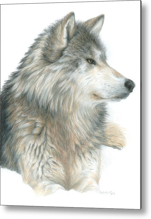 Wolf Metal Print featuring the painting Relaxing Wolf by Carla Kurt