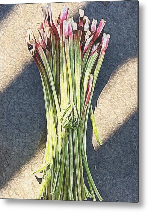 Still Life Metal Print featuring the photograph Rhubarb by Michele Meehl