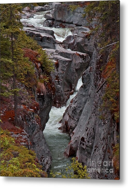 Waterfall Metal Print featuring the photograph River Canyon at Jasper by Robert Pilkington