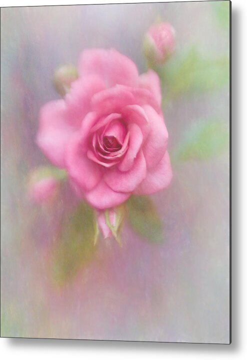 Bloom Metal Print featuring the photograph Rose of Pink by David and Carol Kelly