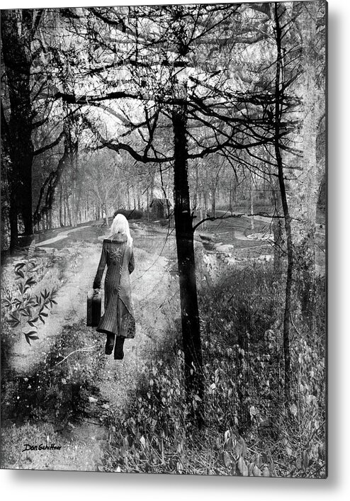 Metal Print featuring the photograph Runaway by Don Schiffner