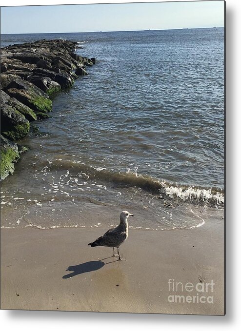 Beach Metal Print featuring the photograph Sea Shadow by CAC Graphics