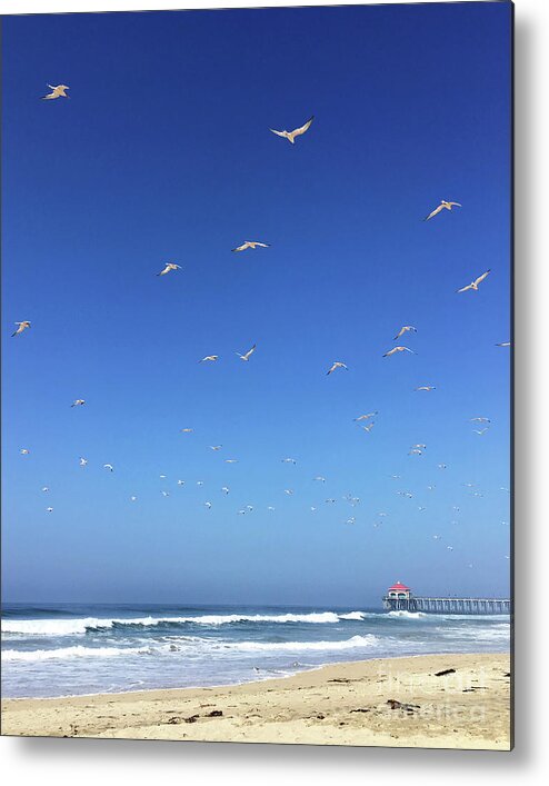 Seagulls Metal Print featuring the photograph Seagulls and Pier by Cheryl Del Toro