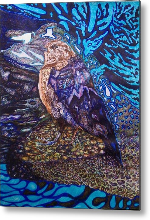 Bird Metal Print featuring the drawing Shore Bird by Angela Weddle