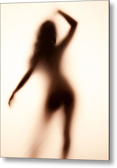 Silhouette Metal Print featuring the photograph Silhouette 117 by Michael Fryd