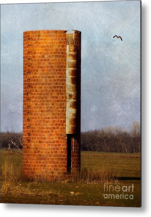 Abandoned Metal Print featuring the photograph Silo by Lana Trussell