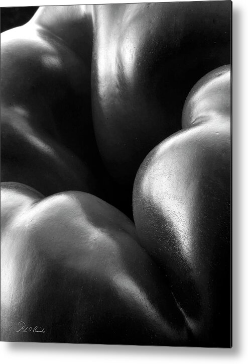 Black & White Metal Print featuring the photograph Skin by Frederic A Reinecke