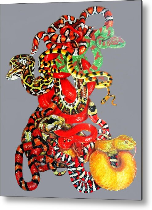 Reptile Metal Print featuring the drawing Slither by Barbara Keith