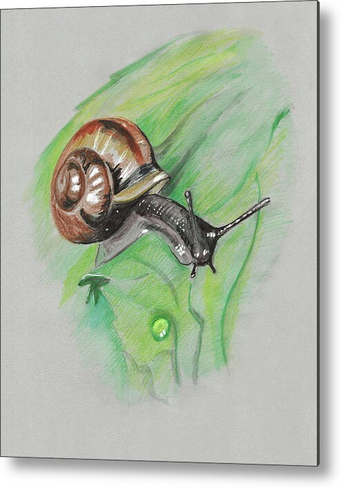 Snail Metal Print featuring the painting Snail on a Leaf by Masha Batkova