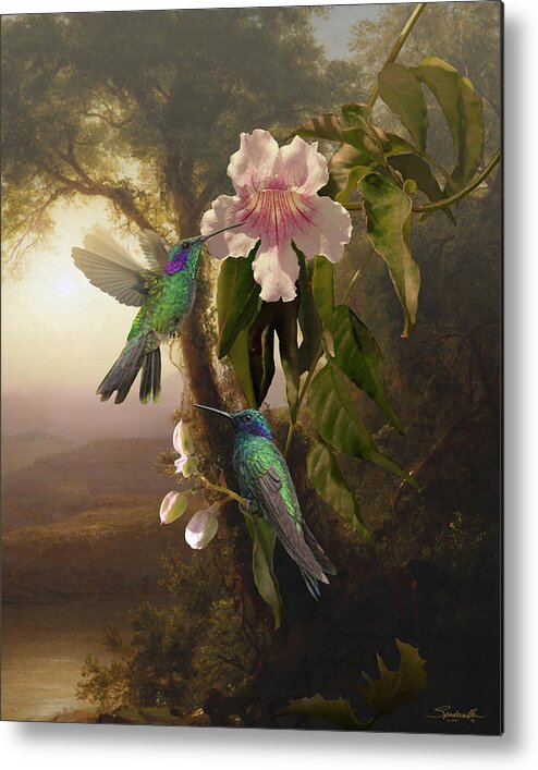 Birds Metal Print featuring the digital art Sparkling Violetear Hummingbirds and Trumpet Flower by M Spadecaller