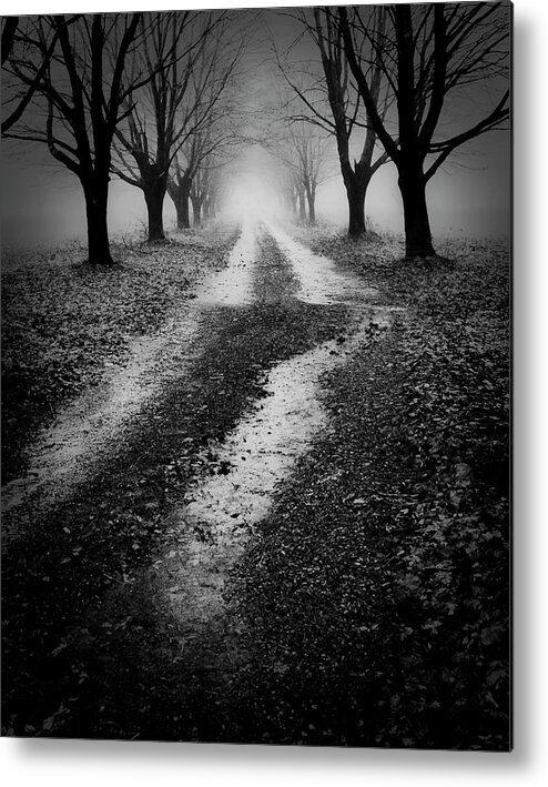 Spooky Metal Print featuring the photograph Spooky Way by Jeff Cooper