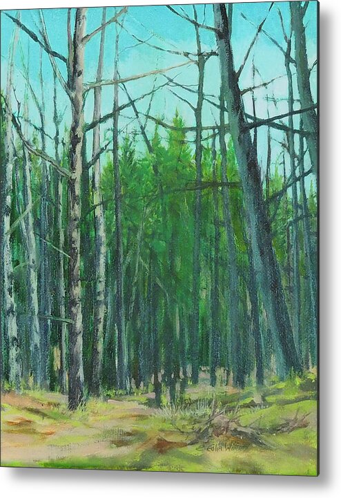 Trees Metal Print featuring the painting Spring Aspens by E Colin Williams ARCA