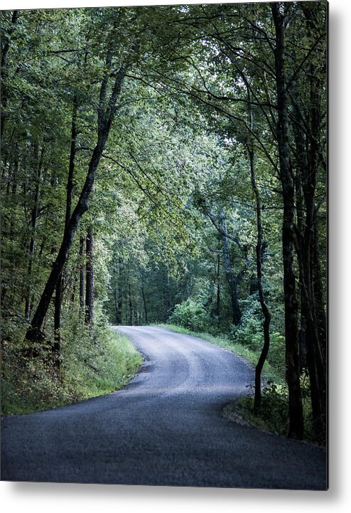 Oak Mountain Metal Print featuring the photograph Spring Light on a Forest Road by Parker Cunningham